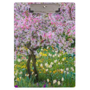 Pranchetas Primavera no jardim de Claude Monet