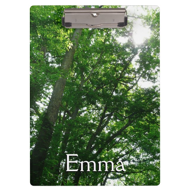 Pranchetas Procurando Árvores de Verão (Frente)