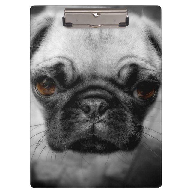 Pranchetas Pug Pup (Frente)