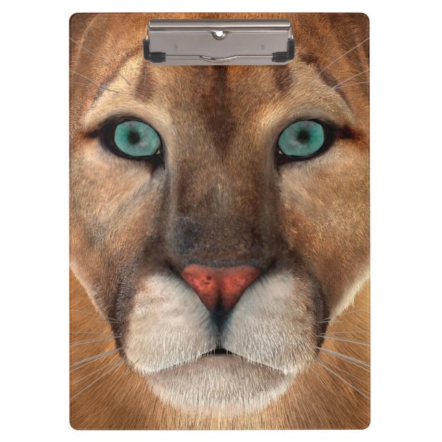 Pranchetas Puma (Frente)
