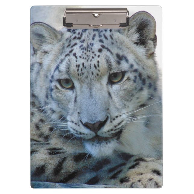 Pranchetas Quebra-cabeça de leopardo-da-neve (Frente)