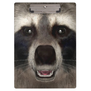 Pranchetas Raccoon