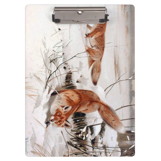 Pranchetas Red Foxes in Snow at Winter (by Wilhelm Kuhnert) (Frente)