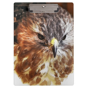 PRANCHETAS RED TAILED HAWK