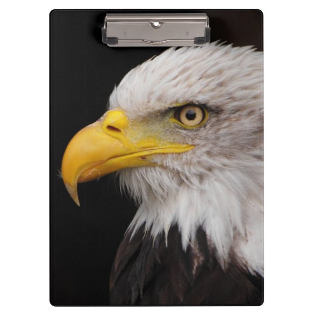Pranchetas Retrato da águia (Frente)