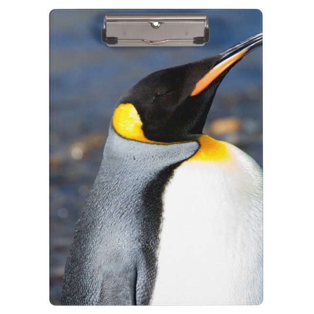 Pranchetas Retrato de pinguim (Frente)