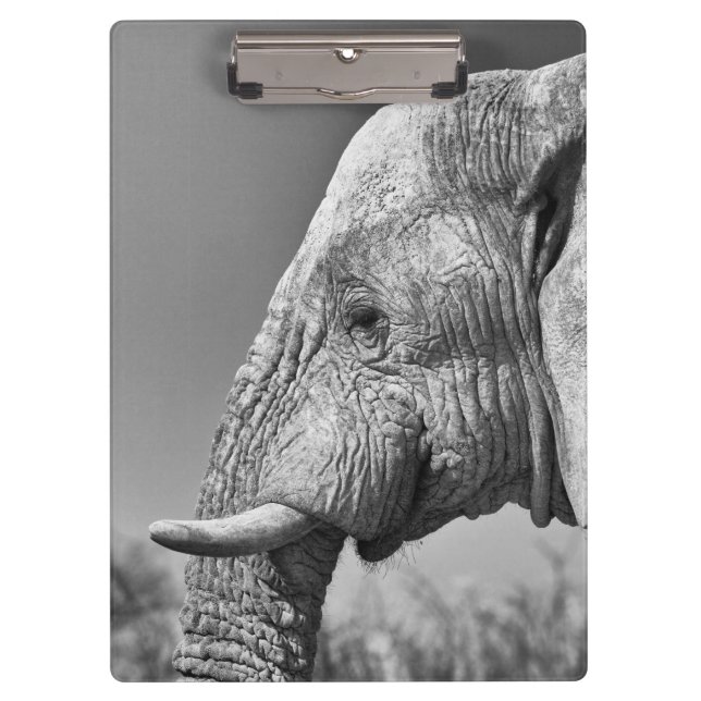 Pranchetas Retrato elefante (Frente)
