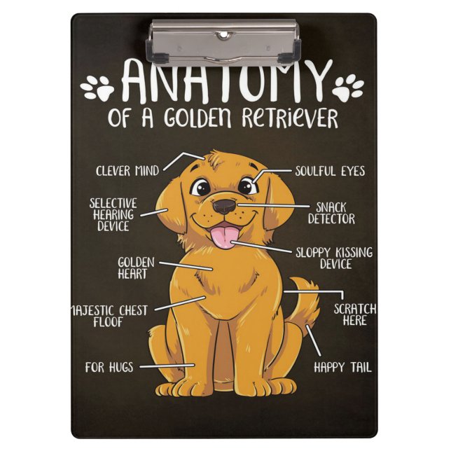 Pranchetas Retriever Ouro de Anatomia | Ouro Retriever Lover  (Frente)