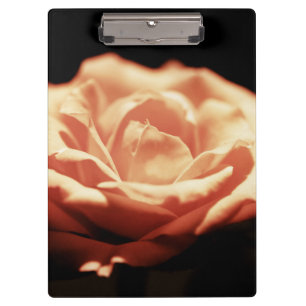 Pranchetas Rosa de Vintage
