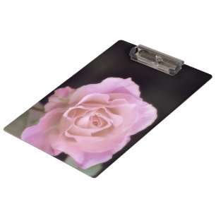 Pranchetas Rosa Rosa Rosa Magnífica