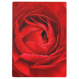 PRANCHETAS ROSA VERMELHA