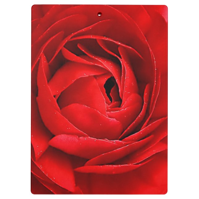 PRANCHETAS ROSA VERMELHA (Verso)
