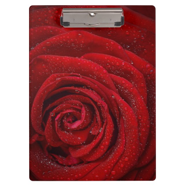 Pranchetas Rosa vermelha romântica (Frente)