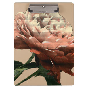 Pranchetas Rosa vermelha Ruby com Destaques Brancos