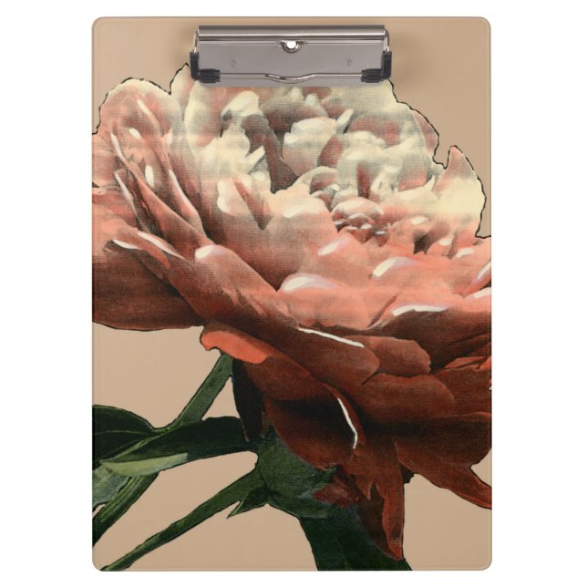 Pranchetas Rosa vermelha Ruby com Destaques Brancos (Frente)