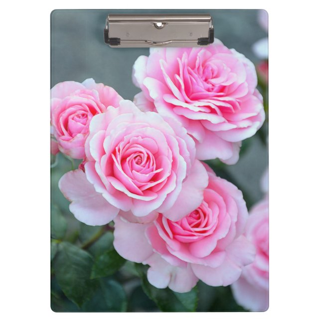 Pranchetas Rosas cor-de-rosa bonitos (Frente)
