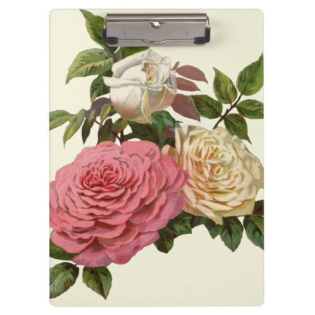 Pranchetas Rosas Rosa e Creme Vitorianas (Frente)