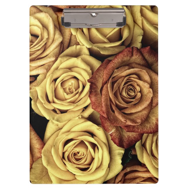 Pranchetas Rosas Sintonizados Sepia (Frente)