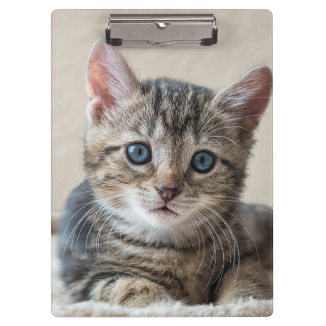 Pranchetas Rosto de Gato Fofo (Frente)