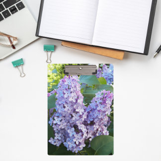 Pranchetas Roxo Lilac Blooms Floral