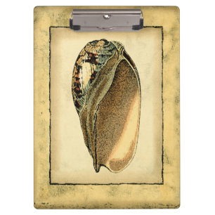 Pranchetas Rustic Vintage Seashell