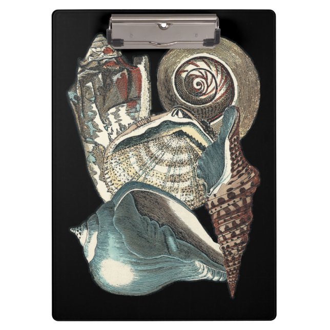 Pranchetas Seashell Anthology (Frente)