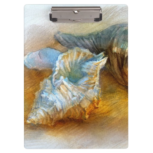 Pranchetas Seashells na praia (Frente)