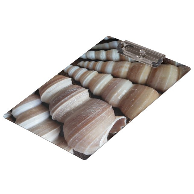 Pranchetas Sedes Sunny, Área de Transferência, Summer Beach,  (Inclinado)