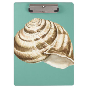 Pranchetas Sepia Striped Shell em Teal