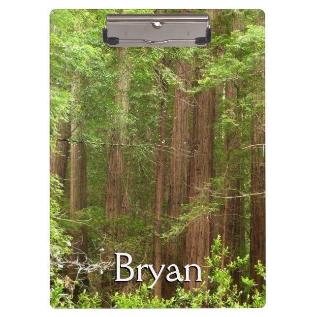 Pranchetas Sequoias Vermelhas no Monumento Nacional de Muir W (Frente)