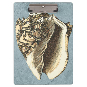 Pranchetas Shell de Conch com Lavagem