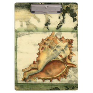 Pranchetas Shell de Conch de Silhueta