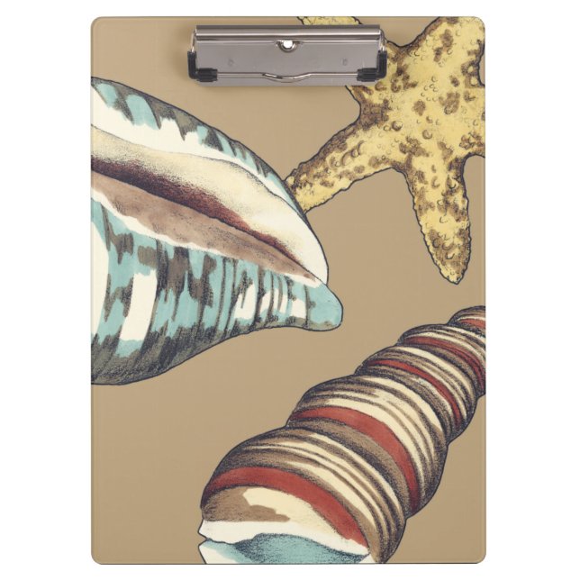 Pranchetas Shell Trio em Khaki (Frente)