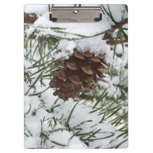 Pranchetas Snowy Pine Cone I Winter Nature Photoshop