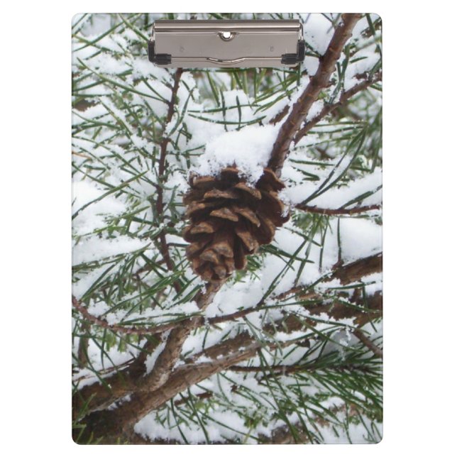 Pranchetas Snowy Pine Cone II Fotografia de inverno (Frente)