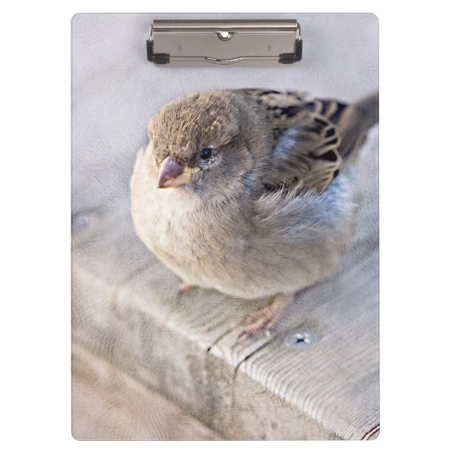 Pranchetas Sparrow - Sobrepeso (Frente)