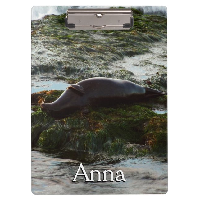 Pranchetas Sunset Lit Harbor Seal II em San Diego (Frente)