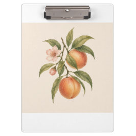 Pranchetas Sweet as a Peach | Vintage Peach Botanical Design