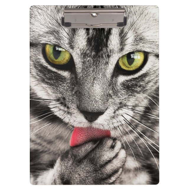 Pranchetas Tabby Cat Licing Paw (Frente)