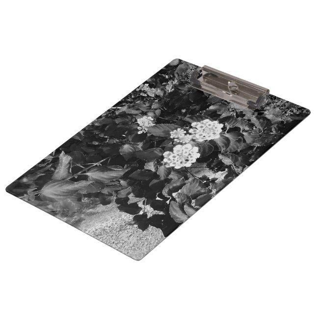 Pranchetas Tema das flores nostálgicas (Inclinado)