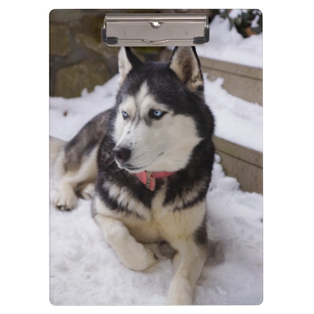 Pranchetas Tempo De Descanso (Frente)