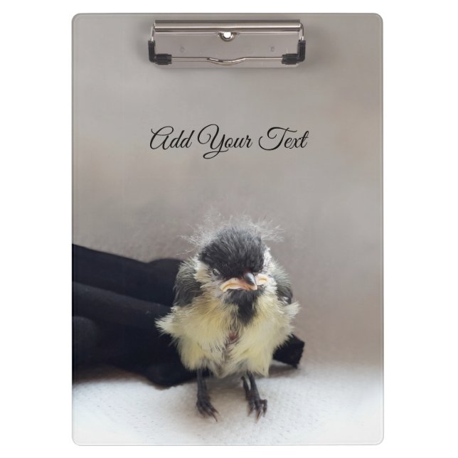 Pranchetas Tidi, meu Pássaro, o Parus Major (Frente)