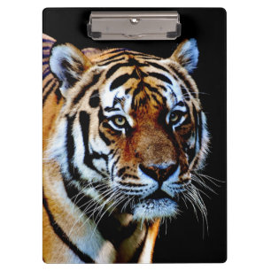 Pranchetas Tiger Predator