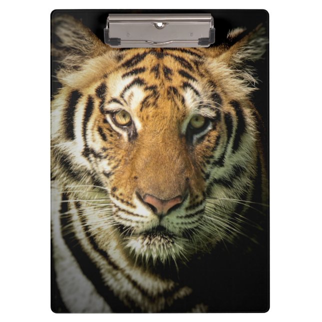 Pranchetas tigre (Frente)