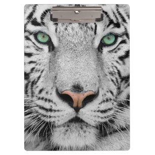 Pranchetas Tigre branco