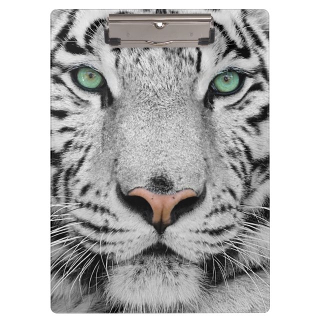 Pranchetas Tigre branco (Frente)