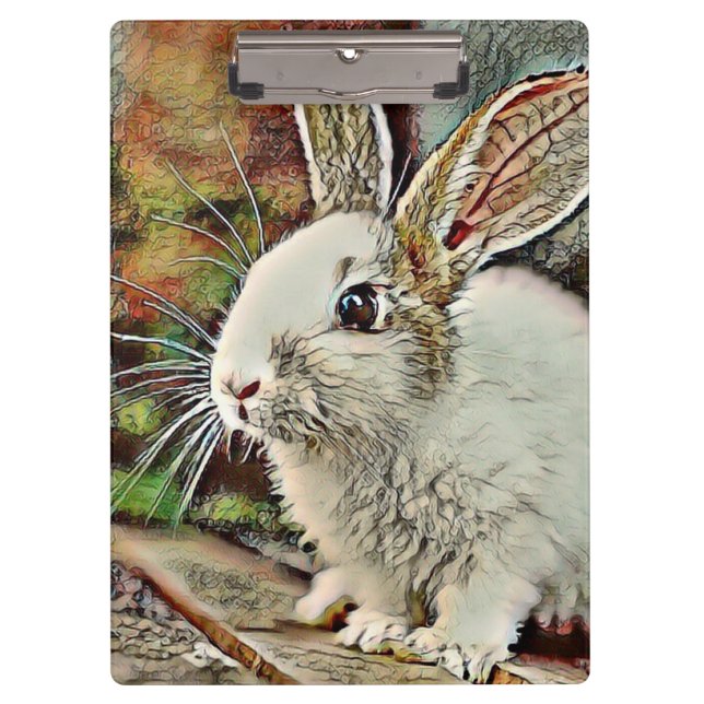 Pranchetas toony bunny (Frente)