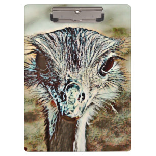 Pranchetas toony ostrich