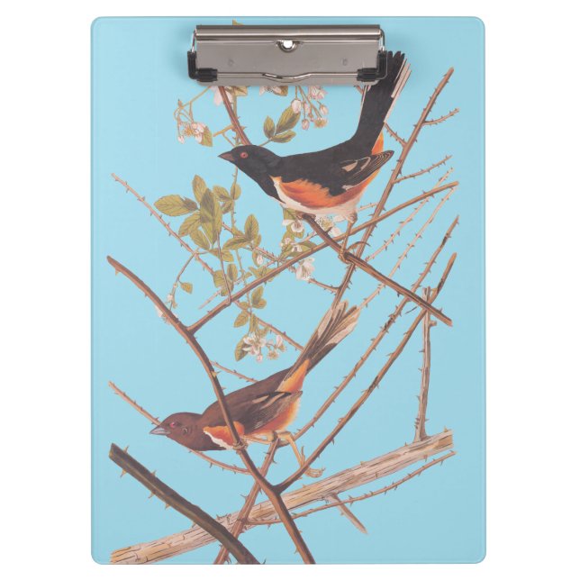 Pranchetas Toweting Audubon Black and Orange Song Birds (Frente)