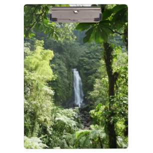 Pranchetas Traffic Falls Tropical RainForest Fotografia